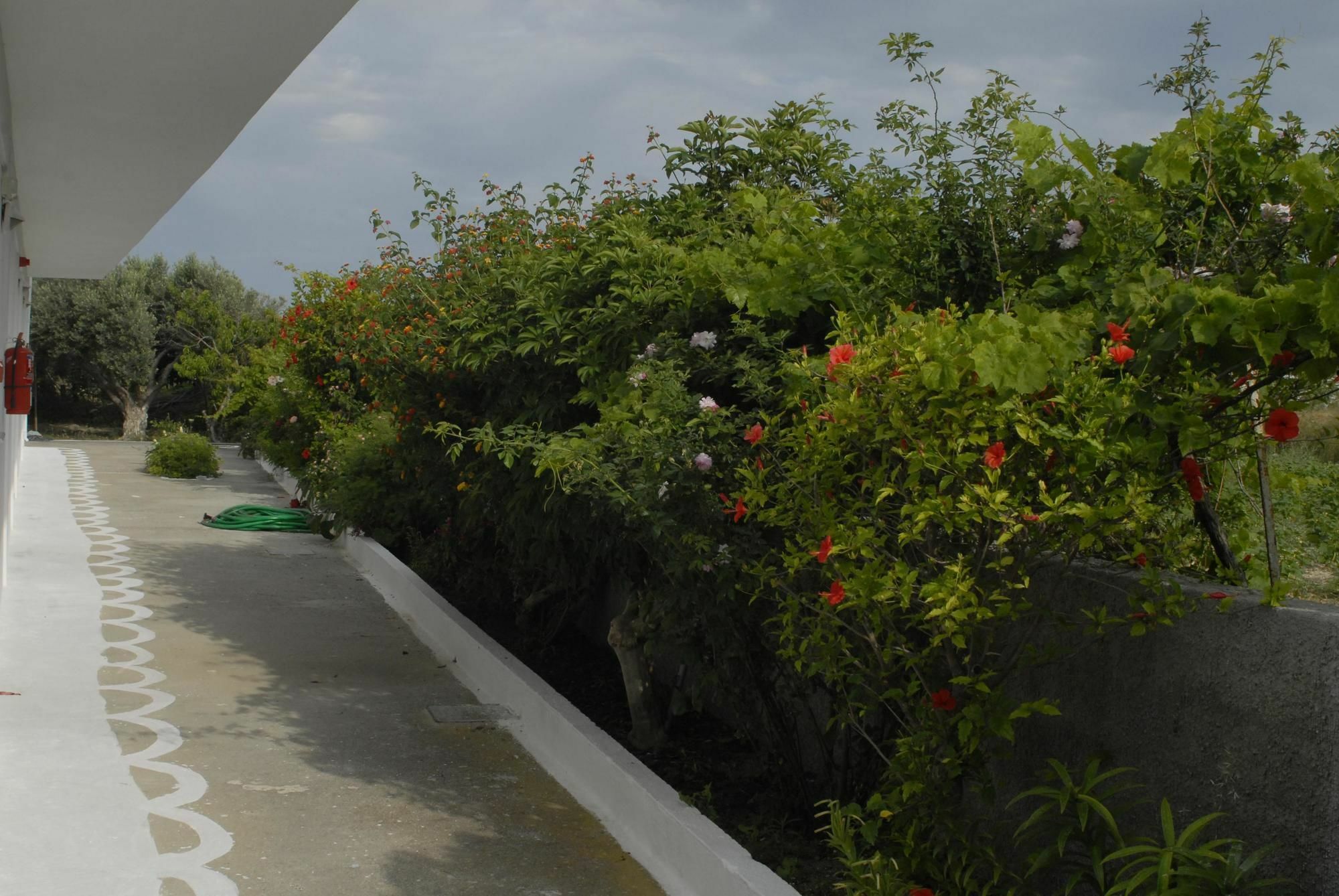 Apartamento Ipokampos Kéfalos Exterior foto
